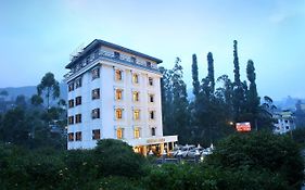 Hotel Munnar Castle